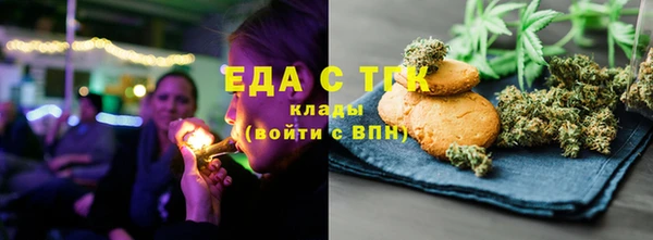 гашик Вязьма