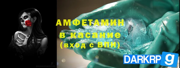ПСИЛОЦИБИНОВЫЕ ГРИБЫ Вязники