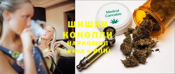 гашик Вязьма