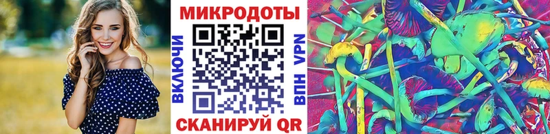 закладки  Карачаевск  Псилоцибиновые грибы MAGIC MUSHROOMS 
